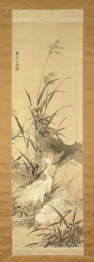 Herons and reeds