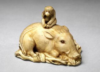 Boar with monkey on its back