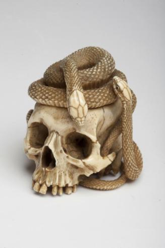 Skull with two snakes