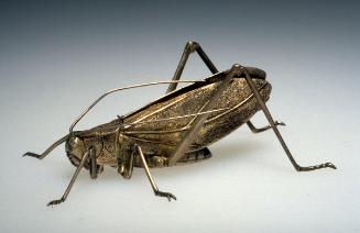 Articulated grasshopper