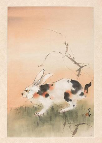 A Wily Rabbit in an Autumn Field