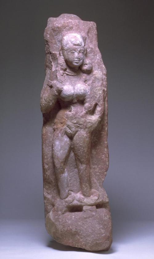 Female fertility figure