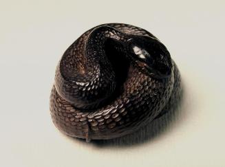 Coiled snake