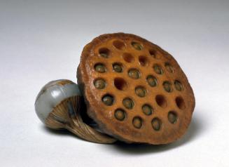 Lotus Pod and a Water Chestnut