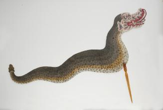 Serpent (naga)