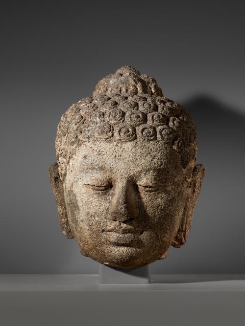 Head of a Buddha image