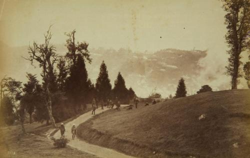 Fog coming up the valley, Darjeeling