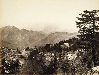 5221. Simla from Jakko