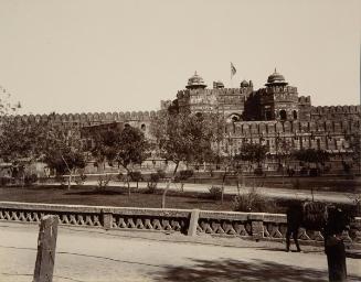 Agra -- fort