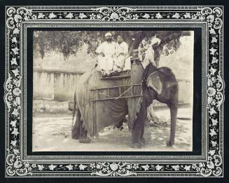 Couple on an elephant