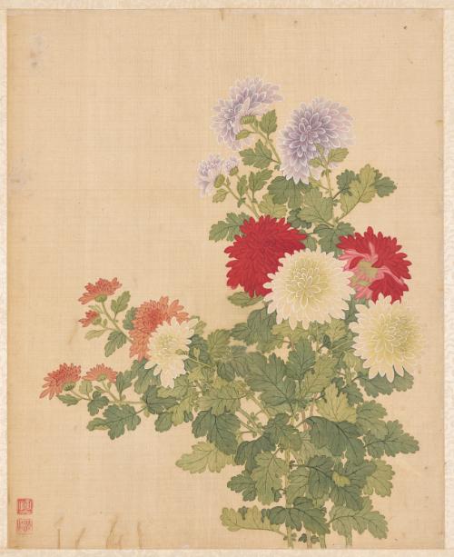 Chrysanthemum, from the Flowers of the Twelve Months: November