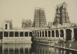 Golden Lily Tank, Madurai