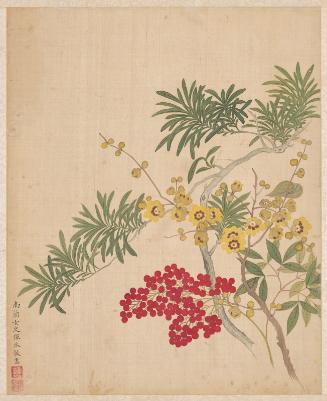 Wax Plum, Nandina, and Lohan Pine, from the Flowers of the Twelve Months: December