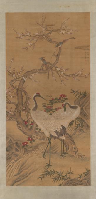 Pair of Cranes and Other Birds in a Garden