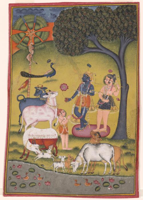 The Hindu deity Krishna and his brother Balarama tend cows